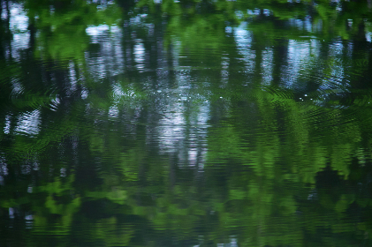 深入了解美高梅平台的优惠活动与奖励机制