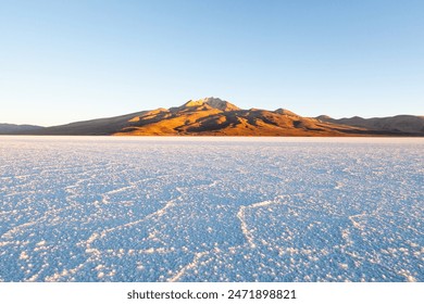 500开奖首页最新官方开奖信息查询