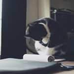 深入了解金博娱乐的奖金机制与优惠活动 7g2128s9