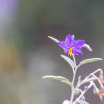 504504开奖结果最新公布,速来查看中奖详情 cfq5rw