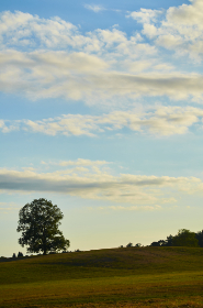 深入分析365博彩平台的热门游戏与玩法攻略