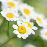 500期最新开奖结果查询与历史数据汇总 k658ssj6bl