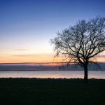 4线直播新趋势:多场景同步互动如何重塑观看体验 mg0yw9