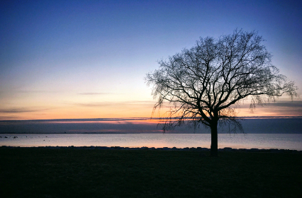4线直播新趋势:多场景同步互动如何重塑观看体验