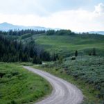 500彩票网3d开奖号码最新结果查询与历史数据分析 rooj43sriy