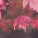 5123开奖结果最新公布,今日中奖号码全面揭晓 saxwnesb