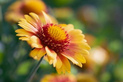 502开奖结果揭晓,幸运号码震撼公布