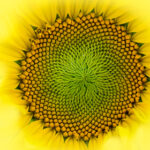 KBS1电视台高清直播在线观看最新节目单 9pg0ux2