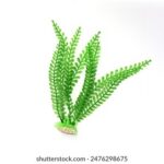 J联赛火热开战,锁定直播间见证精彩对决! hv4b5