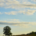 K14cc最新开奖结果查询与历史数据汇总 ptxx743